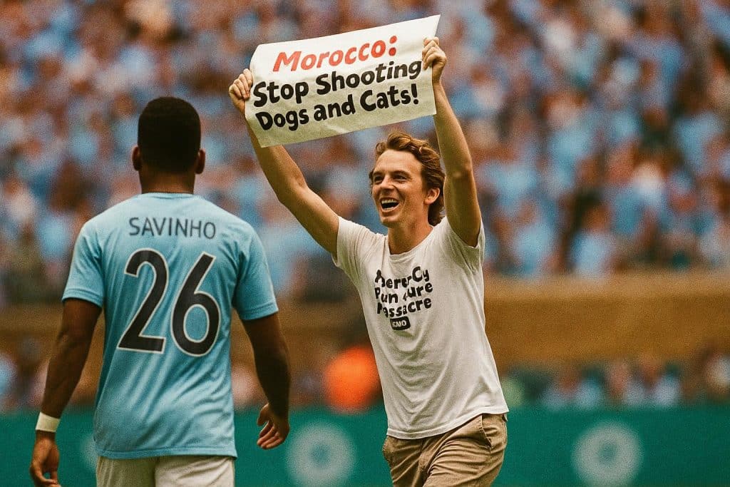 Un streaker et des animaux : Maroc, quand le sport s’engage malgré lui