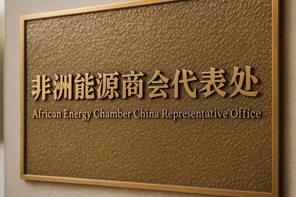 Shanghai: la nouvelle porte d’or du pétrole congolais